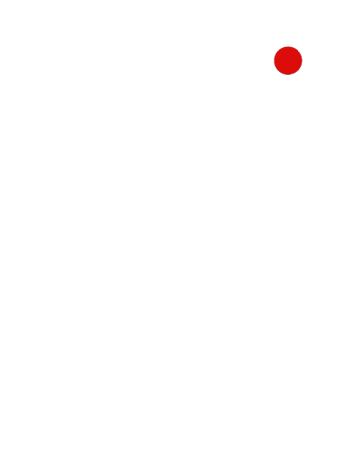 SkinnyFish_logo copy.PNG